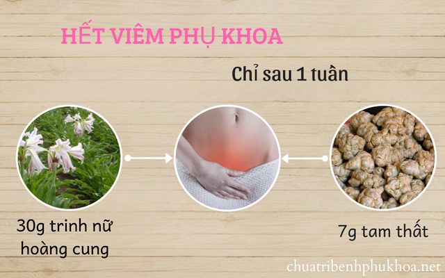 Bệnh viêm nhiễm phụ khoa và cách điều trị bằng cây trinh nữ hoàng cung