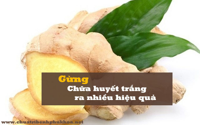 Cách trị huyết trắng hiệu quả bằng gừng