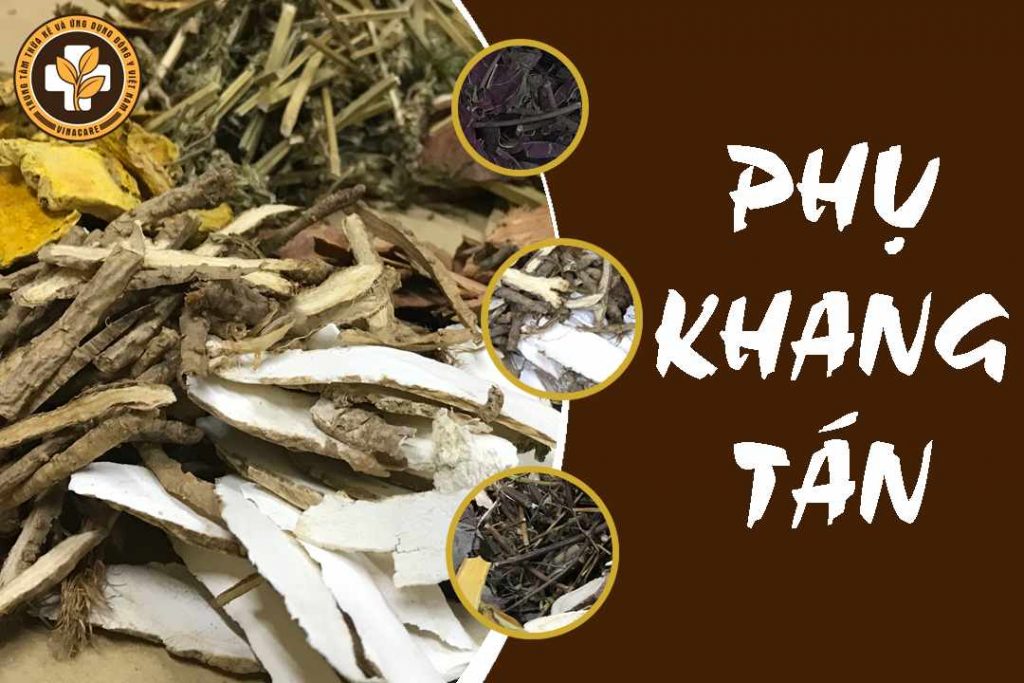 Phụ Khang Tán là thuốc điều trị bệnh phụ khoa hiệu quả