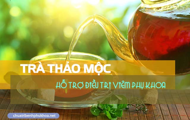 Uống trà thảo mộc điều trị bệnh viêm phụ khoa