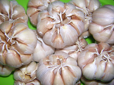 an-gi-de-chua-viem-nhiem-phu-khoa