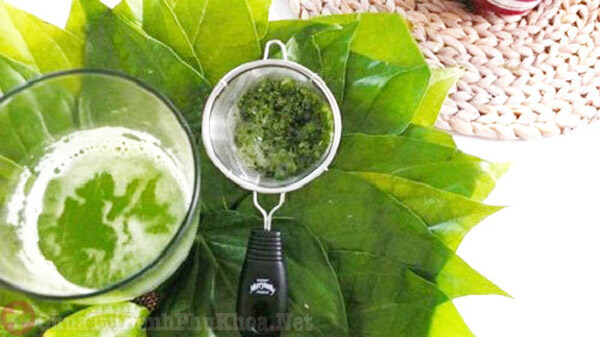 Cách điều trị viêm âm đạo bằng dân gian Cách điều trị viêm âm đạo bằng dân gian