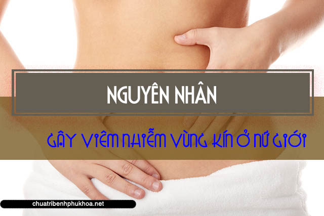 Nguyên nhân gây viêm nhiễm vùng kín ở nữ giới 