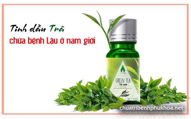 Tinh dầu cây trị bệnh lậu ở nam giới