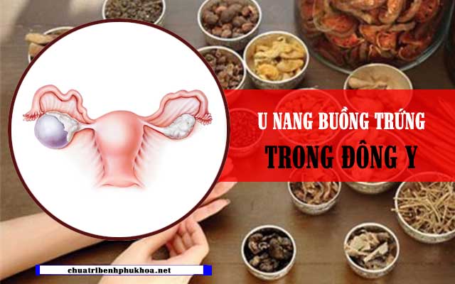 Bệnh u nang buồng trứng trong Đông y