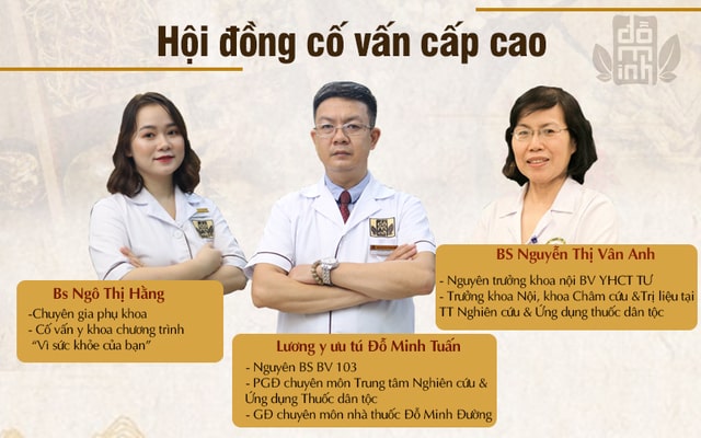 Hội đồng chuyên gia giàu kinh nghiệm dành tâm huyết để phục dựng bài thuốc Phụ Khang Đỗ Minh