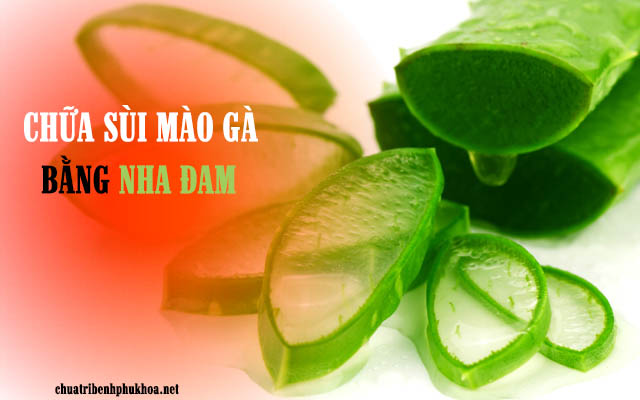 cách chữa sùi mào gà dân gian bằng nha đam