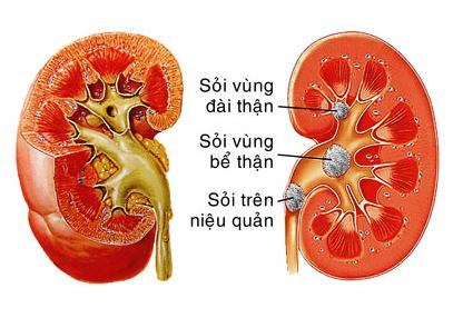 dau-vung-xuong-chau-dau-hieu-cua-benh-nguy-hiem1