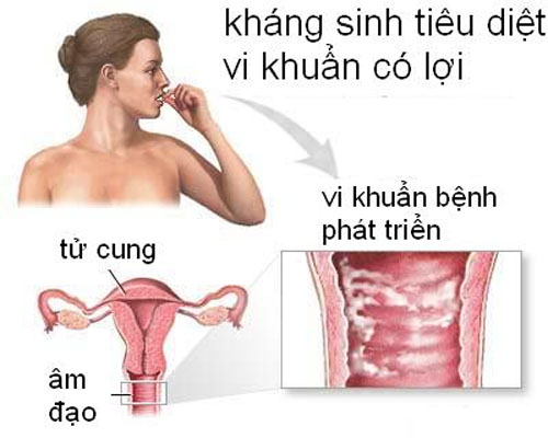 nguyen-nhan-cua-benh-nam-am-dao-la-gi