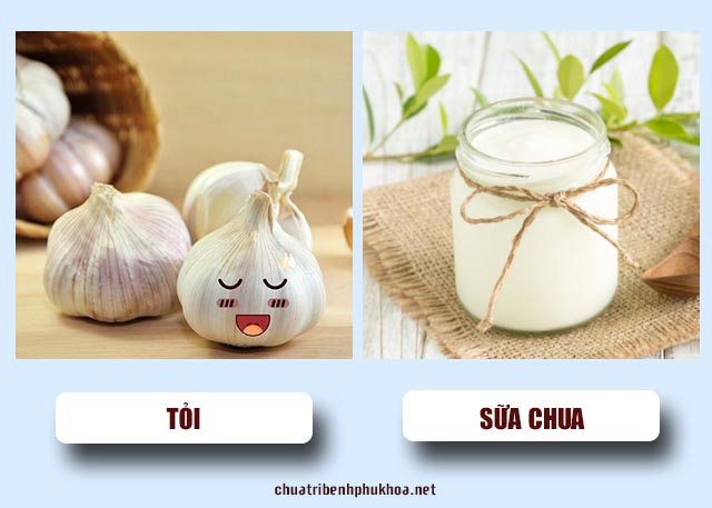  tỏi và sữa chua để điều trị bệnh viêm phụ khoa