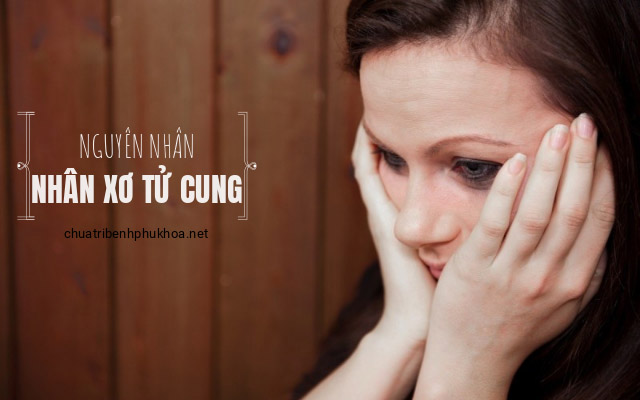 Nguyên nhân gây nhân xơ tử cung