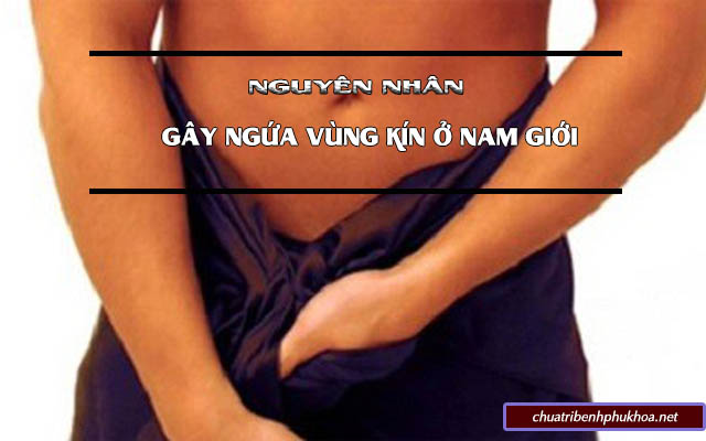 Nguyên nhân gây ngứa vùng kín ở nam giới