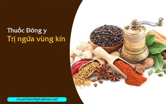 Điều trị ngứa vùng kín bằng thuốc Đông y