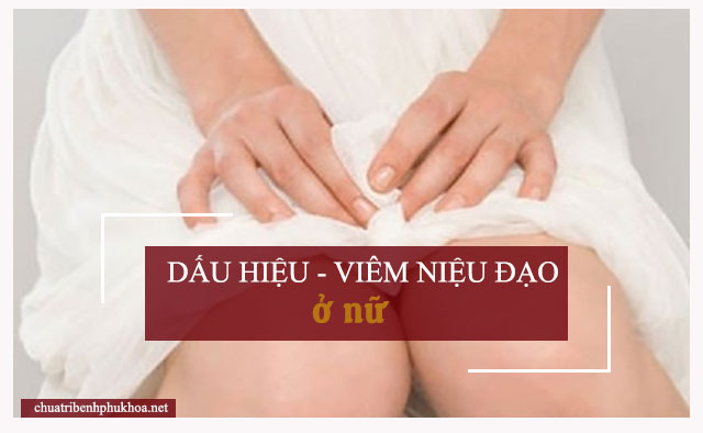 triệu chứng viêm niệu đạo ở nữ