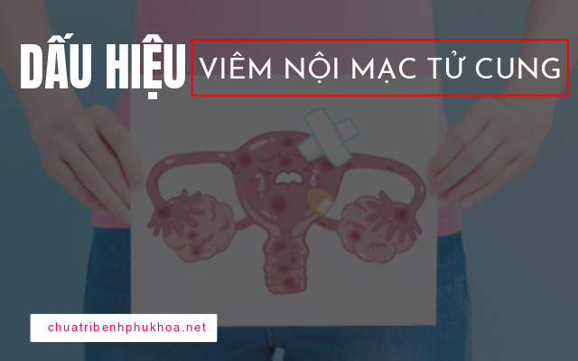 Dấu hiệu viêm nội mạc tử cung