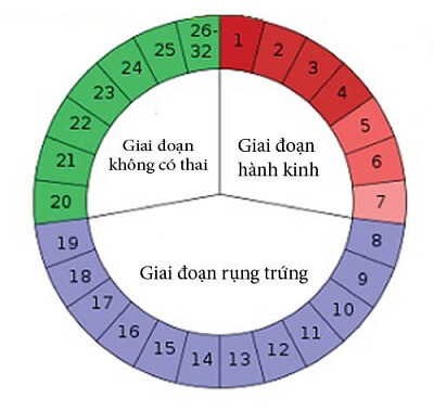 cach-sinh-con-trai-gai-theo-y-muon1