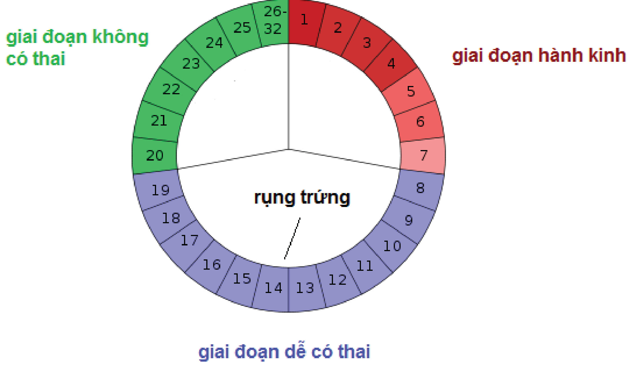 lam-nao-de-co-thai-nhanh-nhat1