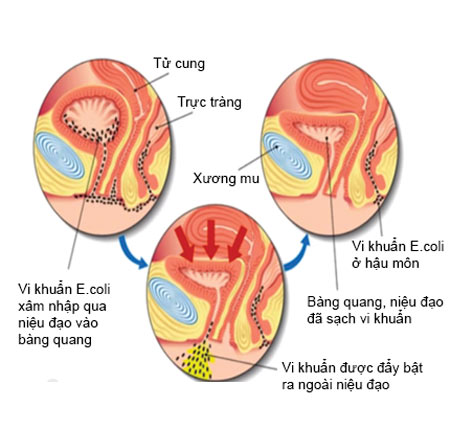 trung-tam-nghien-cuu-va-ung-dung-thuoc-dan-toc1