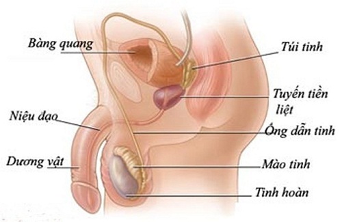 viem-tui-tinh-o-nam-gioi-la-gi