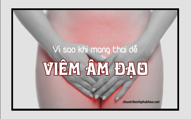 Lý do dẫn đến chứng viêm âm đạo khi mang thai