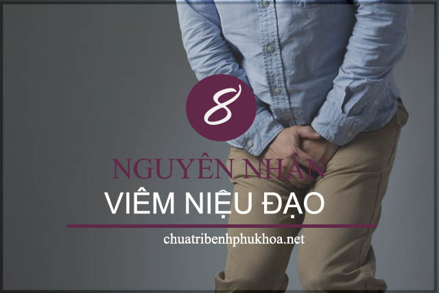 nguyên nhân bệnh viêm niệu đạo