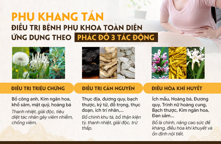 Phác đồ chữa viêm lộ tuyến từ bài thuốc Phụ Khang Tán