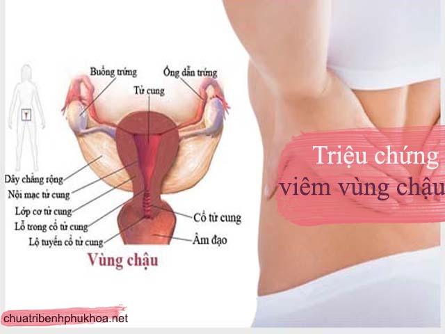 Triệu chứng viêm vùng chậu