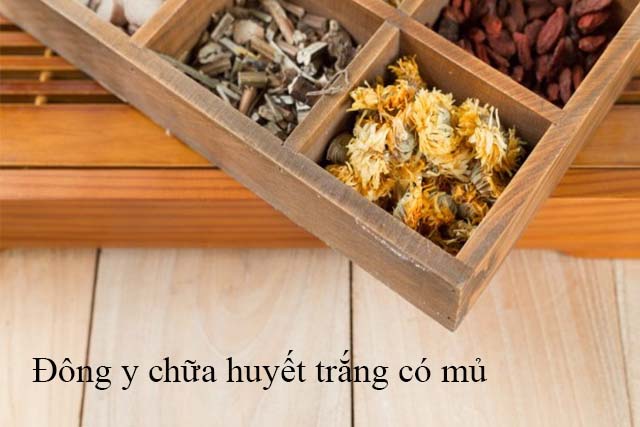 Trị bệnh huyết trắng có mủ bằng bài thuốc Đông y