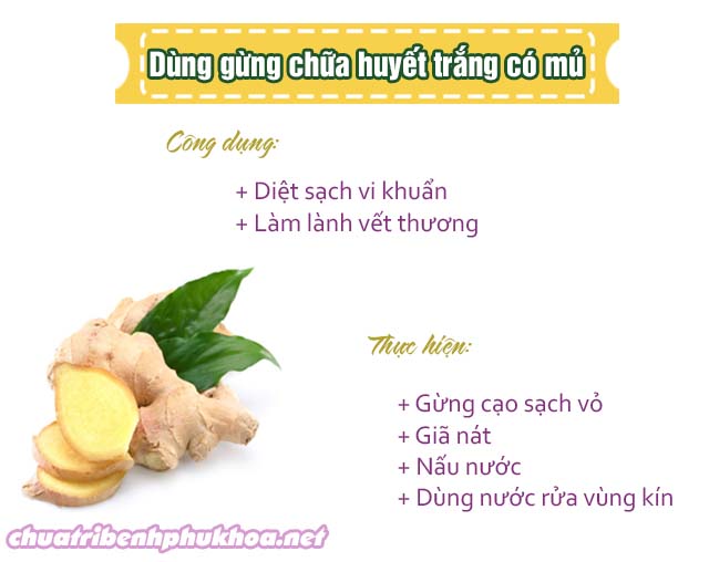 Trị huyết trắng có mủ bằng gừng tươi