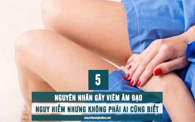 nguyên nhân gây viêm âm đạo