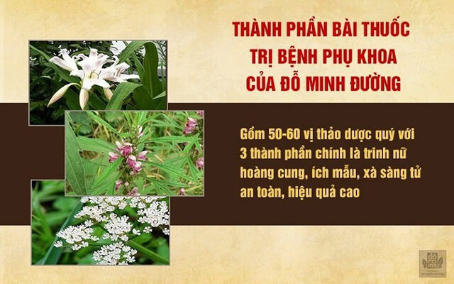 Bài thuốc Phụ Khang Đỗ Minh được kết hợp từ những thảo dược hàng đầu