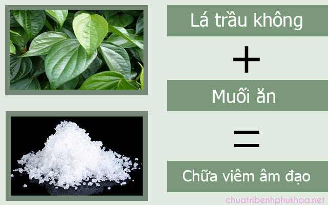 Công thức chữa viêm âm đạo bằng lá trầu không và muối