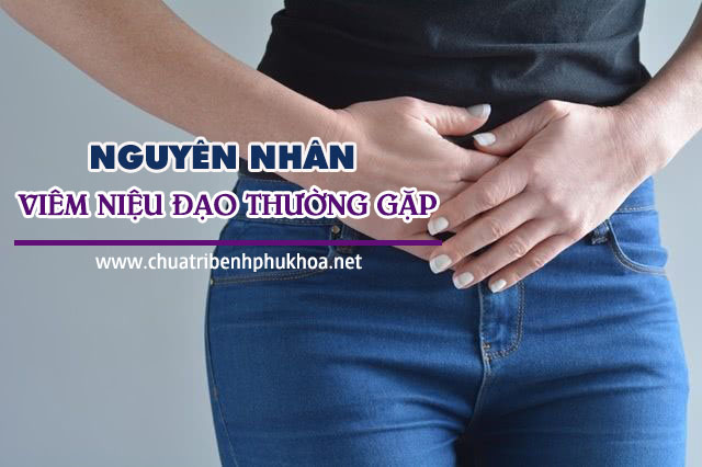 Nguyên nhân bị viêm niệu đạo