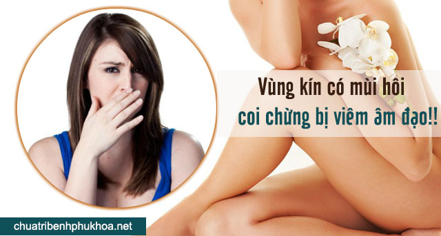 vùng kín có mùi hôi là biểu hiện viêm âm đạo