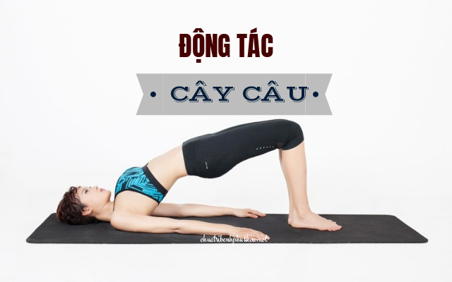 bài tập chữa sa tử cung cây cầu