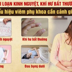 Rối loạn kinh nguyệt, khí hư bất thường: dấu hiệu bệnh phụ khoa