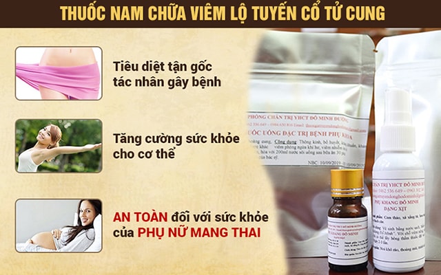 Bài thuốc chữa bệnh viêm lộ tuyến cổ tử cung Đỗ Minh Đường